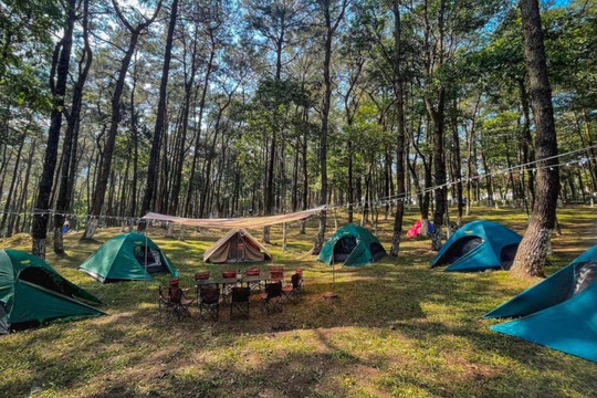 6 địa điểm cắm trại gần Hà Nội có thể đi về trong ngày