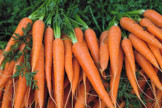 8 thực phẩm 'đại kỵ' với cà rốt