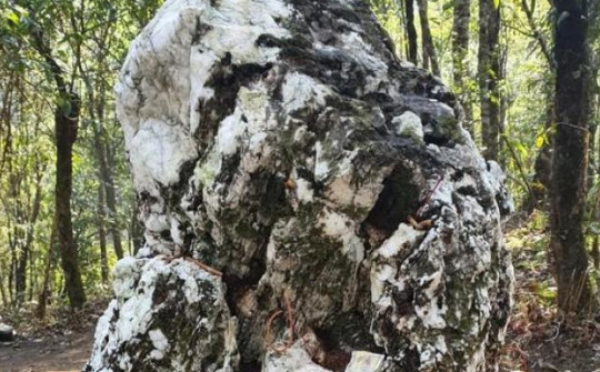 Chuyện về hòn đá kỳ lạ được phong Thần, cách biên giới Việt - Trung chưa đầy 1 mét