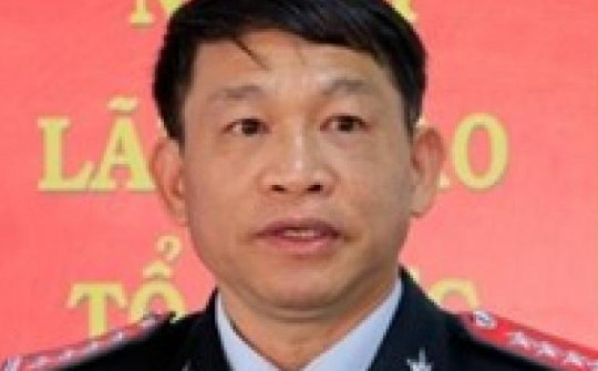 Chánh Thanh tra tỉnh Lâm Đồng Nguyễn Ngọc Ánh bị bắt