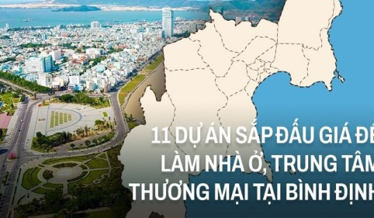 [Infographic] 11 dự án sắp đấu giá để làm nhà ở, trung tâm thương mại tại Bình Định