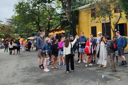 Quảng Nam quyết xử lý tour du lịch 'chui' khi đón khách quốc tế