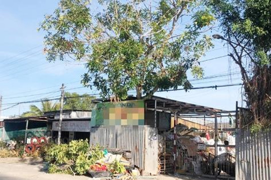 Đi chặt cây thuê, nam thanh niên ở Bạc Liêu bị điện giật tử vong