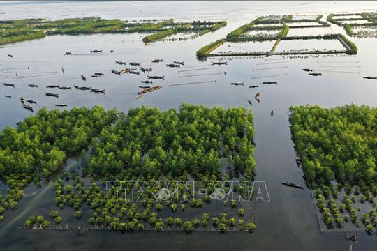 Tam Giang - Cầu Hai trở thành 'Công viên đầm phá Quốc gia'