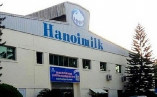 Sữa Hà Nội bị phạt 200 triệu do báo cáo tài chính sai lệch