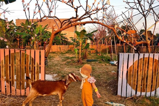 'Bỏ túi' địa chỉ những khu vui chơi trẻ em ở Đà Nẵng hot nhất