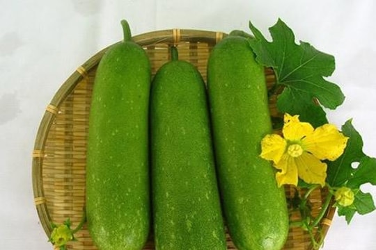 Giảm cân bằng bí đao và sai lầm phải tuyệt đối tránh