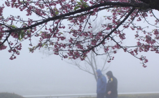 Thời tiết ngày 11/4: Miền Bắc có mưa phùn, nồm ẩm, sương mù giăng lối