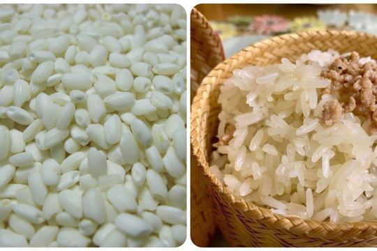 Tác hại của gạo nếp với những người đường huyết cao