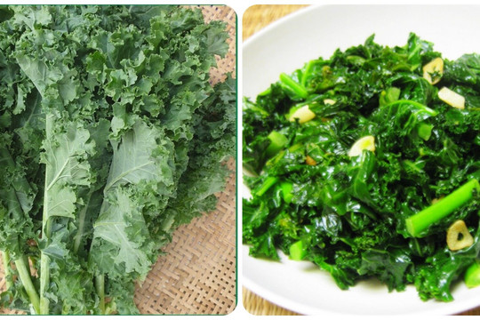 Những lợi ích tuyệt vời của cải kale đối với sức khỏe