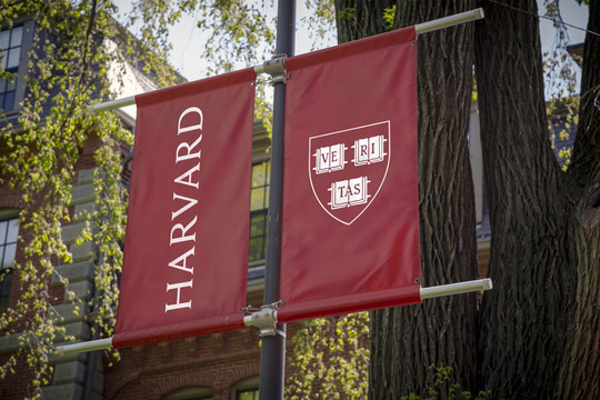 Bị Harvard, MIT từ chối dù điểm SAT top 1% thế giới