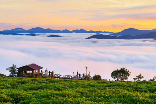 Đi du lịch đâu để săn mây ở Đà Lạt?