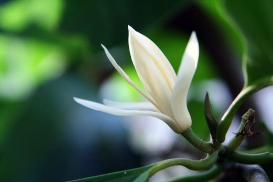 Tản mạn tháng Tư