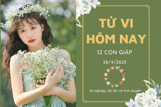 Tử vi hàng ngày hôm nay của 12 con giáp 28/4/2023: Dậu sự nghiệp chuyển biến tốt, Hợi tình cảm nhạt nhòa
