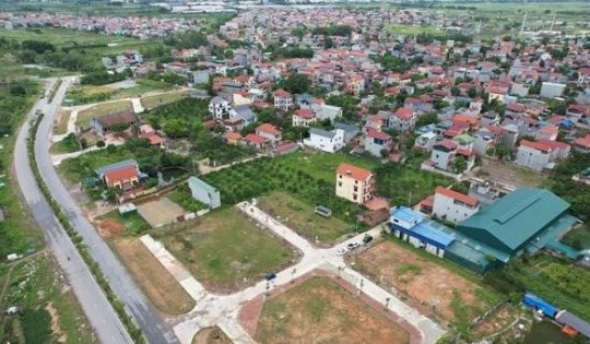 Hà Nội đấu giá hàng loạt lô đất tại nhiều huyện sắp lên quận