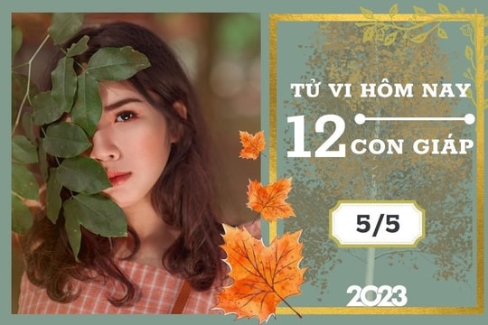 Tử vi hàng ngày hôm nay của 12 con giáp 9/12/2022: Dần tài lộc tốt đẹp, Mùi tình duyên hòa hợp