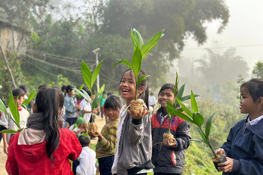 Giáo dục học sinh miền núi ở Quảng Nam bảo vệ môi trường rừng