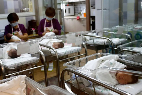 Chi phí nuôi dạy con ở Hàn Quốc cao nhất thế giới