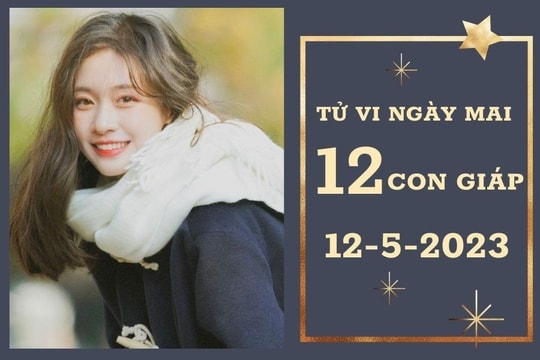 Tử vi ngày mai của 12 con giáp 12/5/2023: Tuất tài lộc khởi sắc, Tý tình cảm vượng sắc