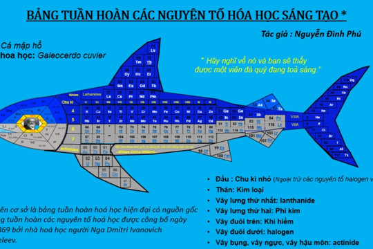 Độc đáo bảng tuần hoàn hóa học hình cá mập của nam sinh Hà Nội