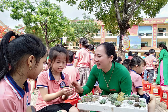 Học sinh Lào Cai đổi gần 5 tấn phế liệu lấy cây xanh