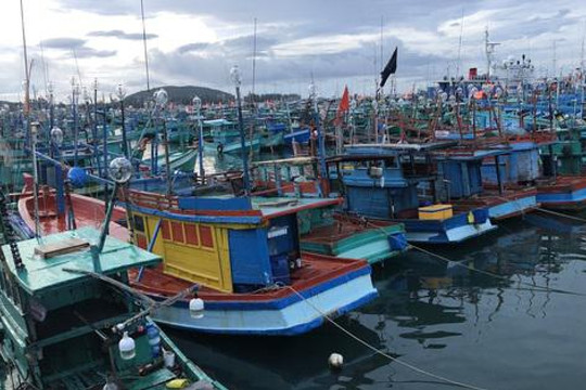 Chủ tịch UBND tỉnh Kiên Giang tự kiểm điểm trách nhiệm vì tàu cá vi phạm IUU