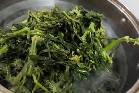 Lá sắn có ăn được không?