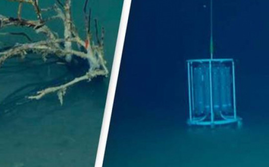 Bí ẩn 'hồ tử thần' trong Biển Đỏ là mồ chôn của nhiều sinh vật