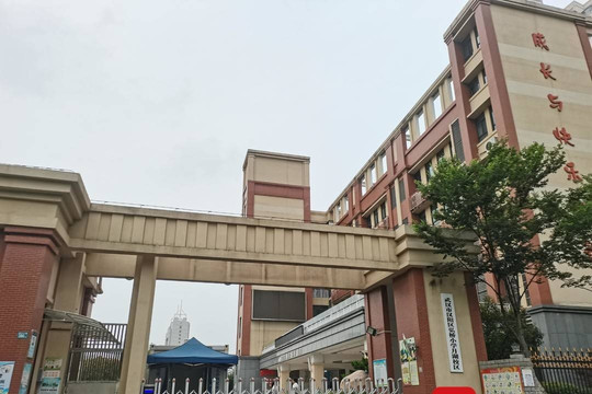 Học sinh ở Trung Quốc tử vong do bị thầy giáo lái xe tông trúng