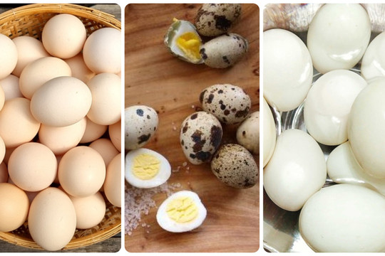 Trứng gà, trứng vịt, trứng cút: Ăn trứng nào bổ dưỡng nhất?