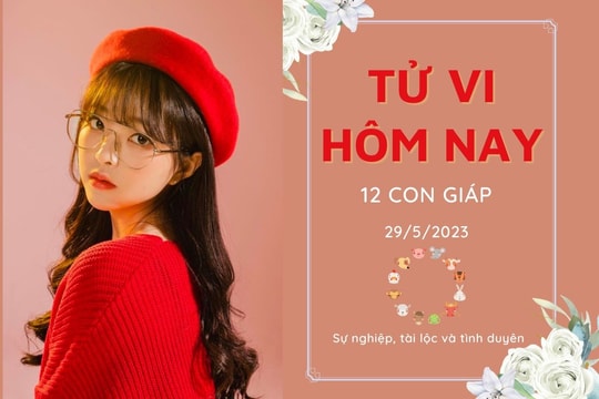 Tử vi hàng ngày hôm nay của 12 con giáp 29/5/2023: Tỵ tài lộc ổn định, Hợi sự nghiệp thăng tiến dễ dàng