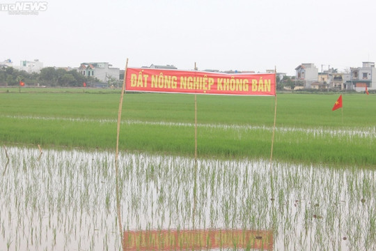 Dân không đồng ý, huyện có được thu hồi đất trồng lúa để làm cụm công nghiệp?