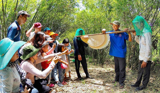 Gác kèo ong - chuyện cổ tích có thật ở rừng U Minh - Kỳ 5: Nghề gác kèo ong vẫn 'hái ra tiền'