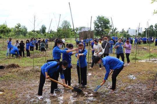 Sinh viên Trường ĐH Kiên Giang trồng tre bảo vệ môi trường