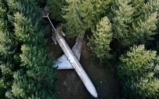 Chi hàng chục triệu mỗi tháng để sống trong máy bay cũ giữa rừng