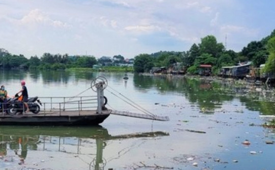 Video: Sau cơn mưa, rác ngập sông Đồng Nai