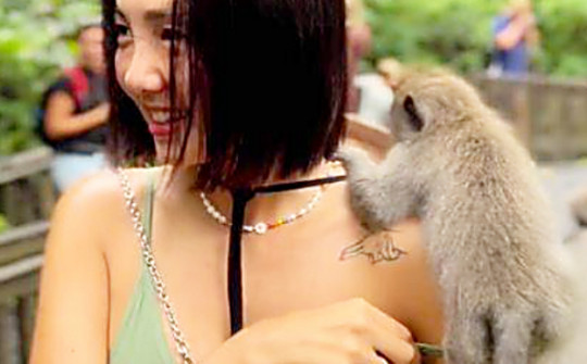 Người đẹp Hàn Quốc gặp sự cố khi mặc áo dây đi thăm khỉ ở Bali