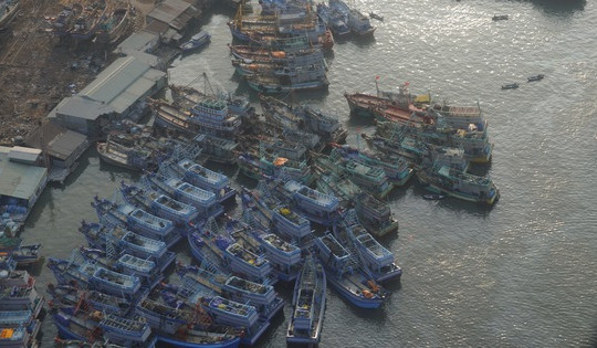 Tháng 10-2023, gỡ thẻ vàng cho thủy sản Việt Nam, được không?