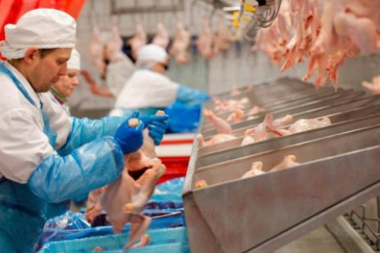 Công ty châu Âu tiếp cận 8 năm không bán được cho Trung Quốc dù chỉ 1 chiếc đùi gà