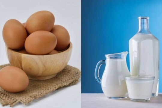 Có nên ăn trứng uống sữa cùng lúc vào bữa sáng?