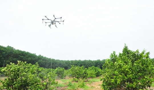 Doanh nhân nông nghiệp số hóa đồng ruộng