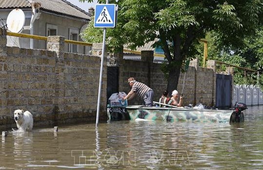 Vụ vỡ đập ở Ukraine biến Biển Đen thành nơi ngập rác và xác động vật