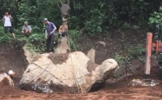 Xôn xao thông tin người dân đào được tảng đá hình con rùa: Chính quyền xã nói gì?