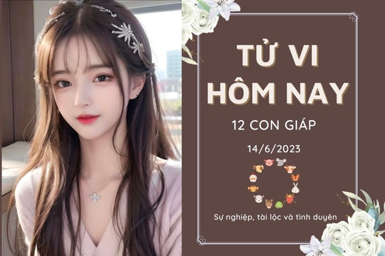 Tử vi hàng ngày hôm nay của 12 con giáp 14/6/2023: Mão tài lộc đi xuống, Dậu công việc thuận lợi