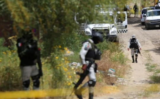 Mexico: Đối đầu các băng đảng ma túy, thị trưởng phải chuyển vào doanh trại quân đội
