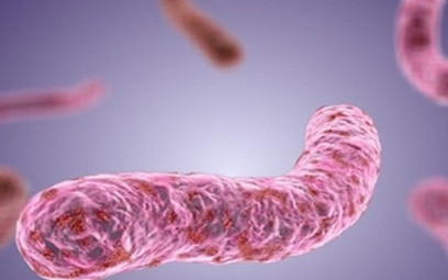 Hoại tử cẳng chân do nhiễm vi khuẩn "ăn thịt người"