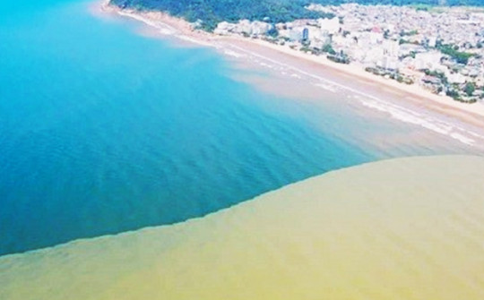 Tin tức 24h qua: Lý do mặt biển Sầm Sơn bất ngờ chia thành hai màu nước