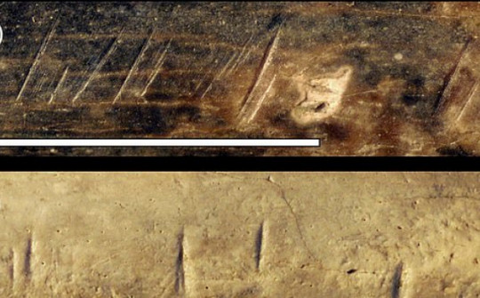 Vết cắt trên hóa thạch xương người cổ xưa cách đây 1,5 triệu năm hé lộ điều đáng sợ?