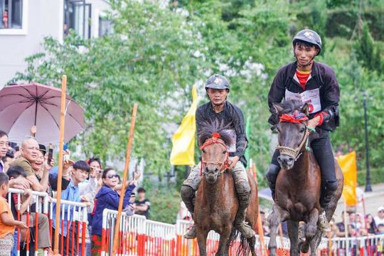Du khách đội mưa xem đua ngựa ở Sun World Fansipan Legend