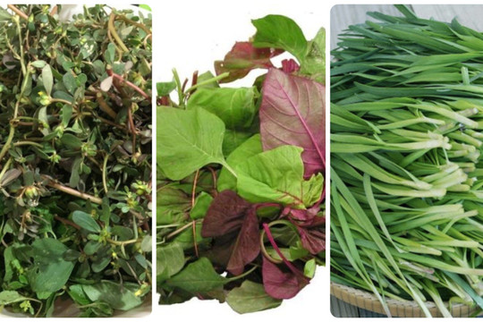 3 loại rau quen thuộc tại Việt Nam là 'rau trường thọ' ở nhiều quốc gia